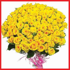dream-a-little-100-yellow-roses-beautifully-wrapped