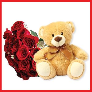 dream-a-little-12-red-roses-bunch-with-teddy