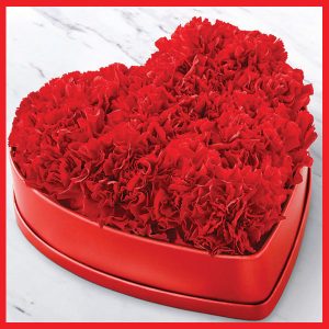 lovers-paradise-heart-shape-box-filled-with-30-red-carnation
