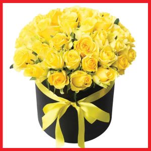 majestic-love-25-yellow-roses-in-a-box