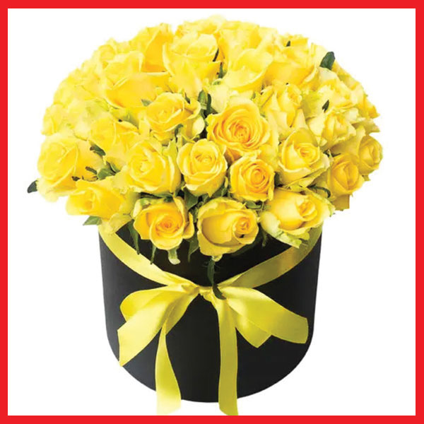 majestic-love-25-yellow-roses-in-a-box