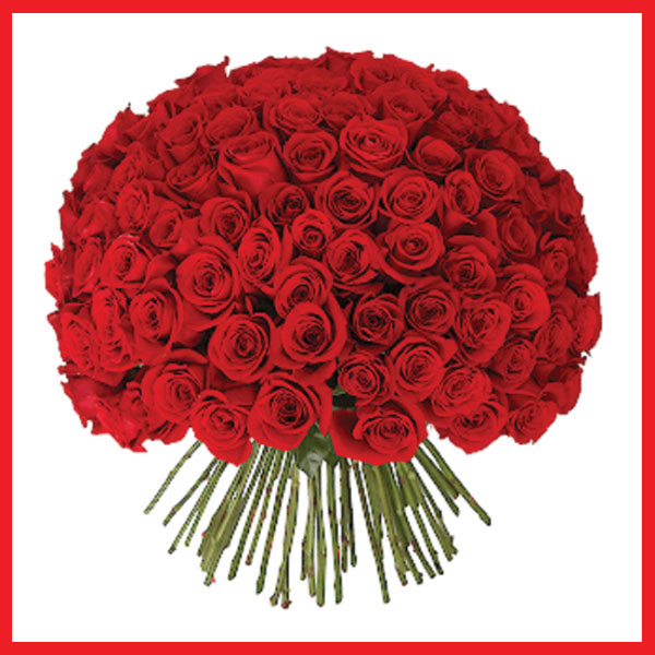 my-love-is-red-75-roses-bouquet