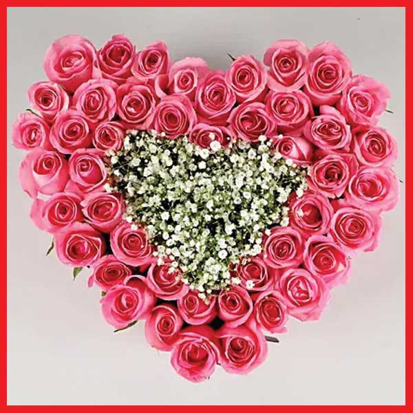 qeen-of-my-heart-50-pink-roses-in-heart-shape-arrangement