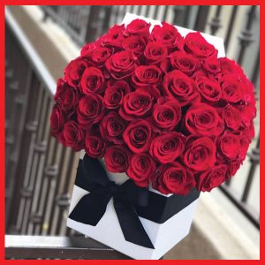 spellbound-in-love-red-roses